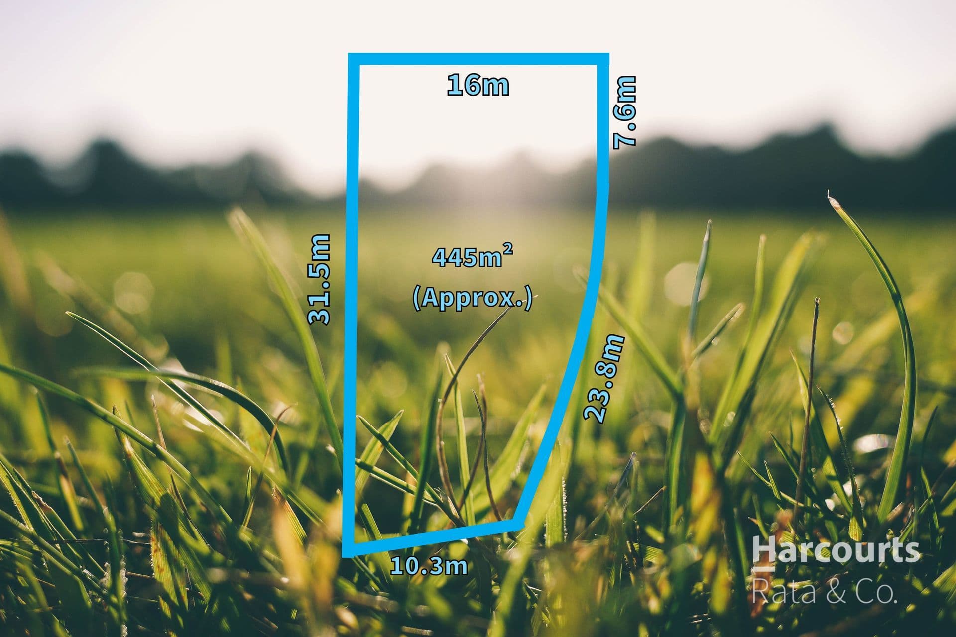 Wollert listing image
